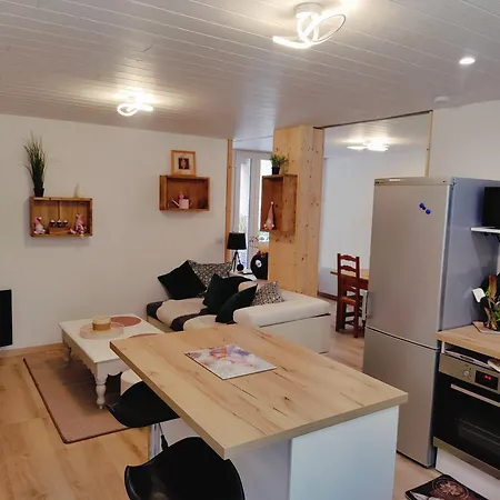 아파트 Location Marjori - T2 Le Roselin *